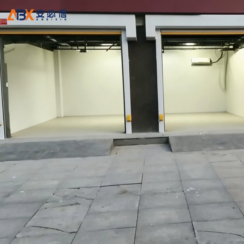 白银自动快速门